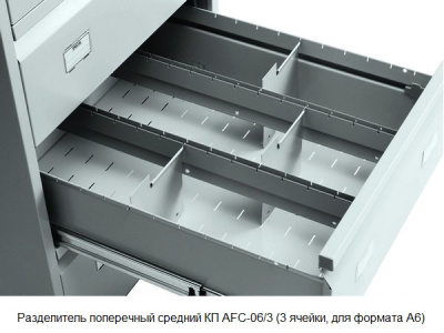 Медицинская картотека Практик МД AFC-06